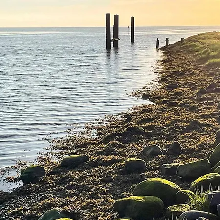 Semesterbostad 2 Person In Højer
